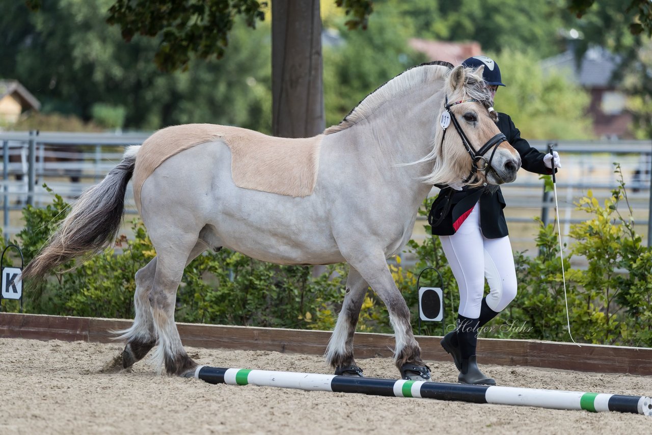 Bild 16 - Pony Akademie Turnier